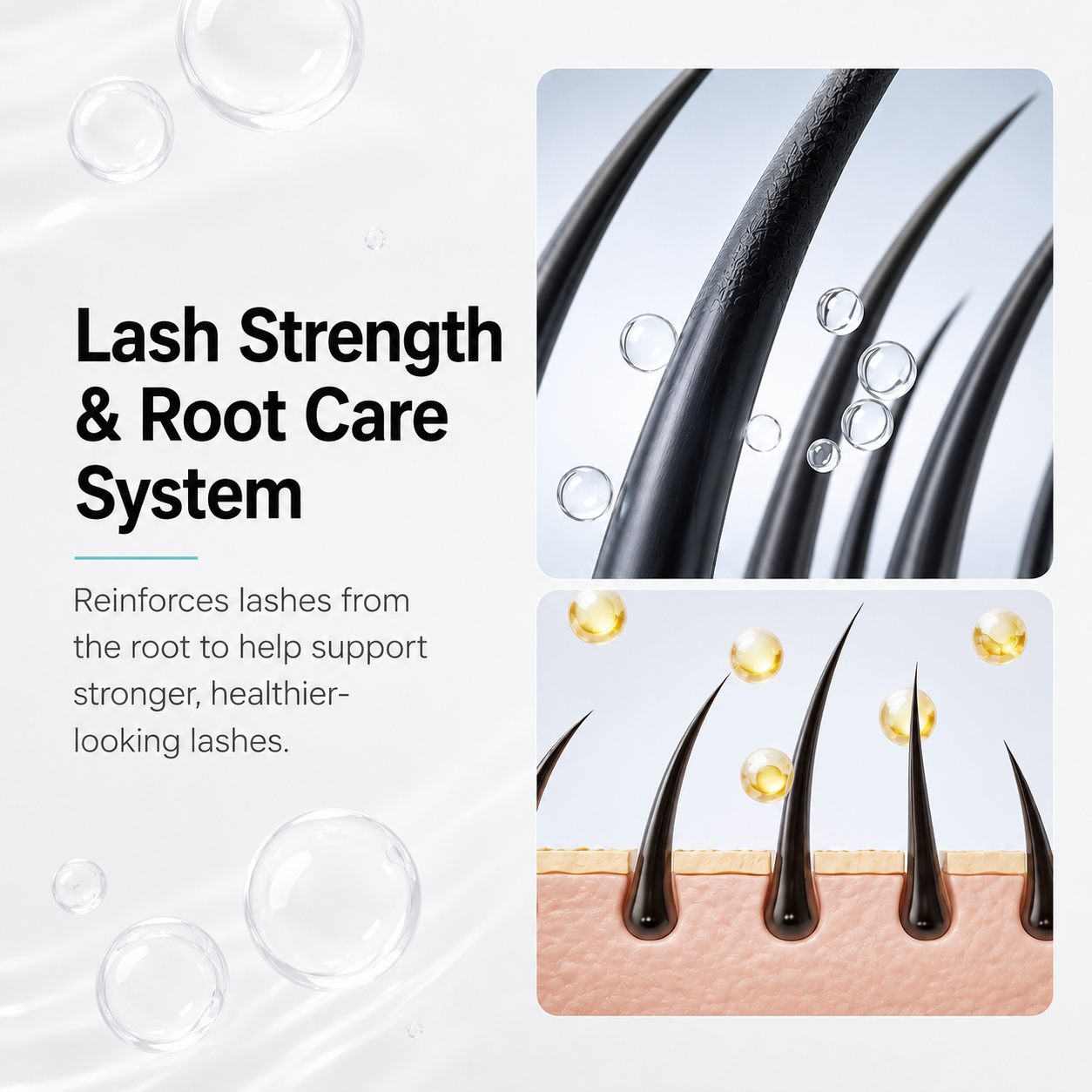 Lash strength and root care system